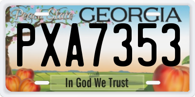 GA license plate PXA7353
