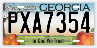 GA license plate PXA7354