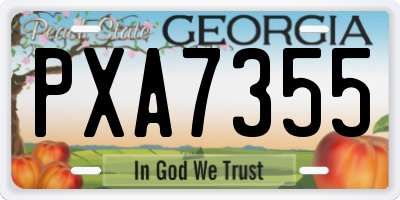 GA license plate PXA7355