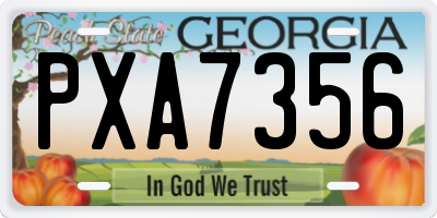 GA license plate PXA7356