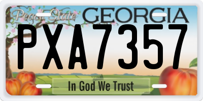 GA license plate PXA7357