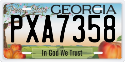 GA license plate PXA7358