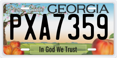 GA license plate PXA7359