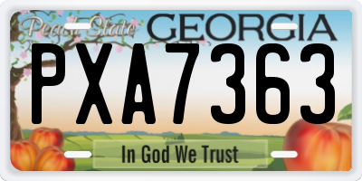 GA license plate PXA7363