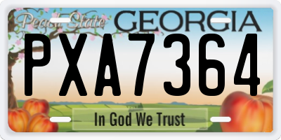 GA license plate PXA7364