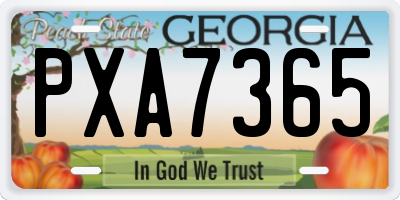 GA license plate PXA7365