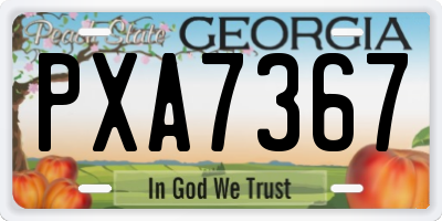 GA license plate PXA7367