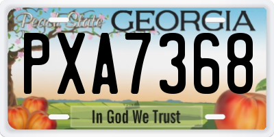 GA license plate PXA7368