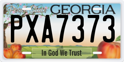 GA license plate PXA7373