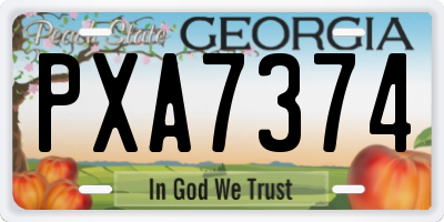 GA license plate PXA7374