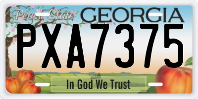GA license plate PXA7375