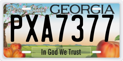 GA license plate PXA7377