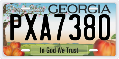 GA license plate PXA7380