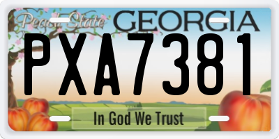 GA license plate PXA7381