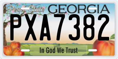 GA license plate PXA7382