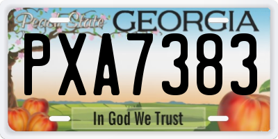 GA license plate PXA7383
