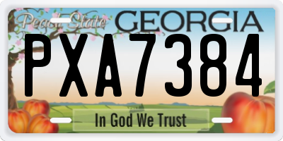 GA license plate PXA7384