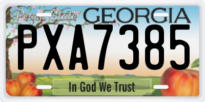 GA license plate PXA7385