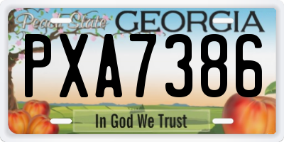 GA license plate PXA7386