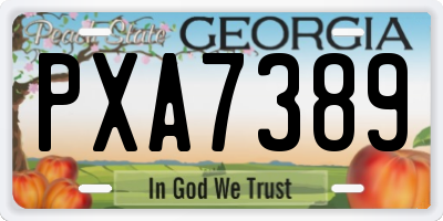 GA license plate PXA7389
