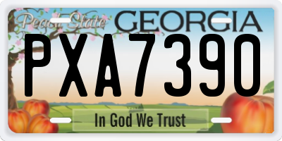 GA license plate PXA7390