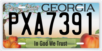 GA license plate PXA7391