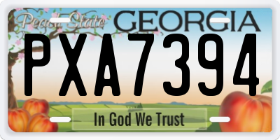 GA license plate PXA7394