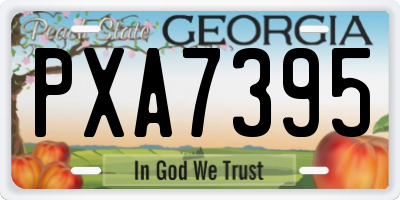 GA license plate PXA7395