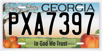 GA license plate PXA7397