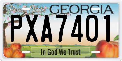 GA license plate PXA7401