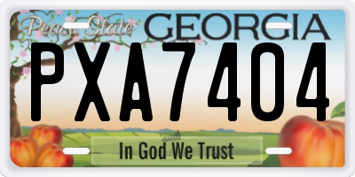 GA license plate PXA7404