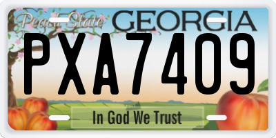 GA license plate PXA7409