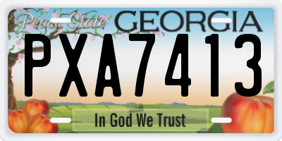 GA license plate PXA7413