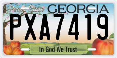 GA license plate PXA7419