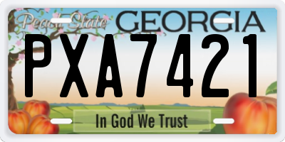 GA license plate PXA7421