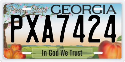 GA license plate PXA7424