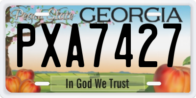 GA license plate PXA7427