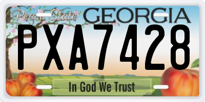 GA license plate PXA7428