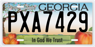 GA license plate PXA7429
