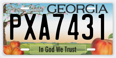 GA license plate PXA7431