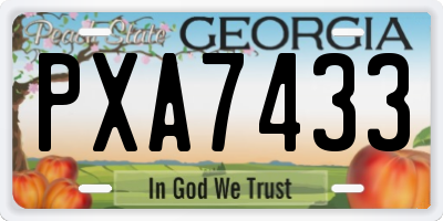 GA license plate PXA7433
