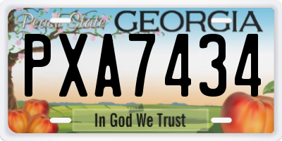 GA license plate PXA7434