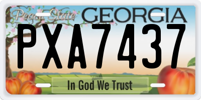 GA license plate PXA7437