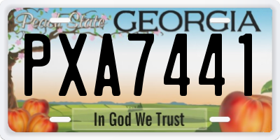GA license plate PXA7441