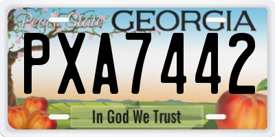 GA license plate PXA7442
