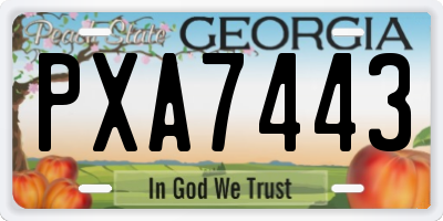 GA license plate PXA7443