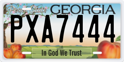 GA license plate PXA7444