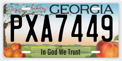 GA license plate PXA7449