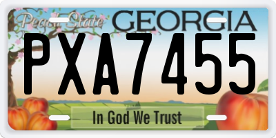 GA license plate PXA7455