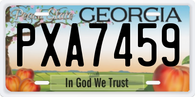 GA license plate PXA7459